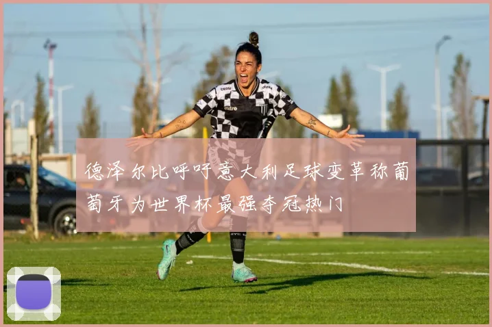 德泽尔比呼吁意大利足球变革称葡萄牙为世界杯最强夺冠热门